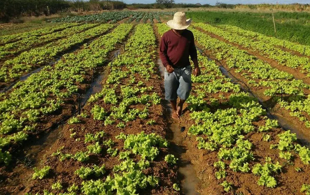 Agricultura familiar