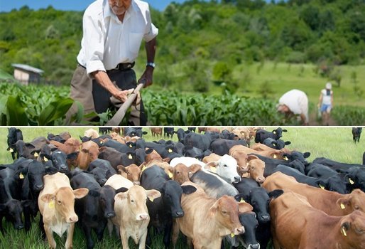 Agricultura y ganadería