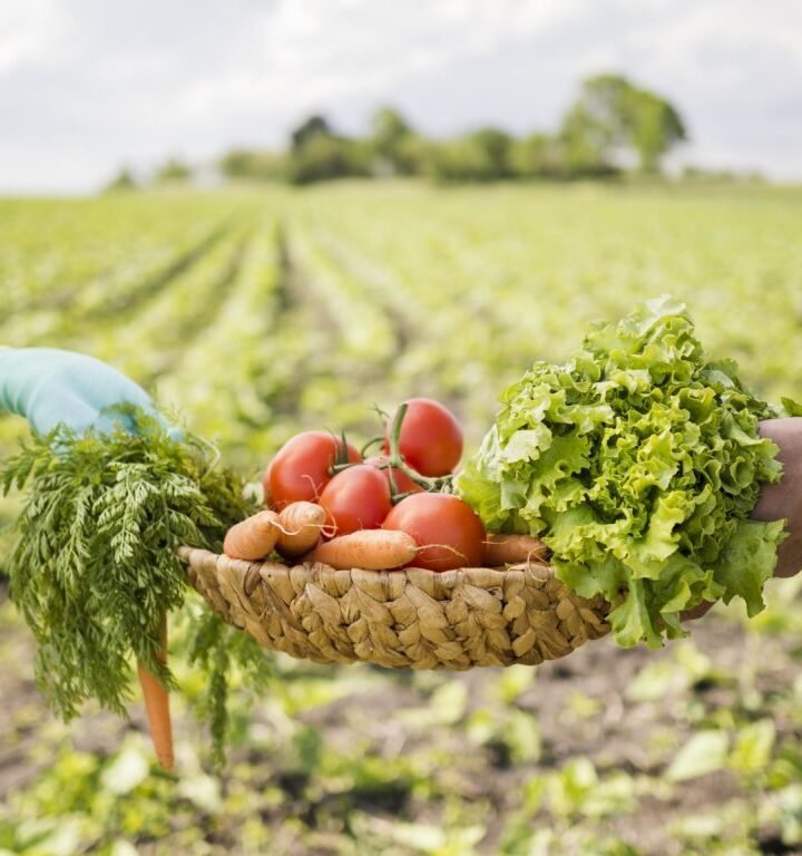 Productores agrícolas
